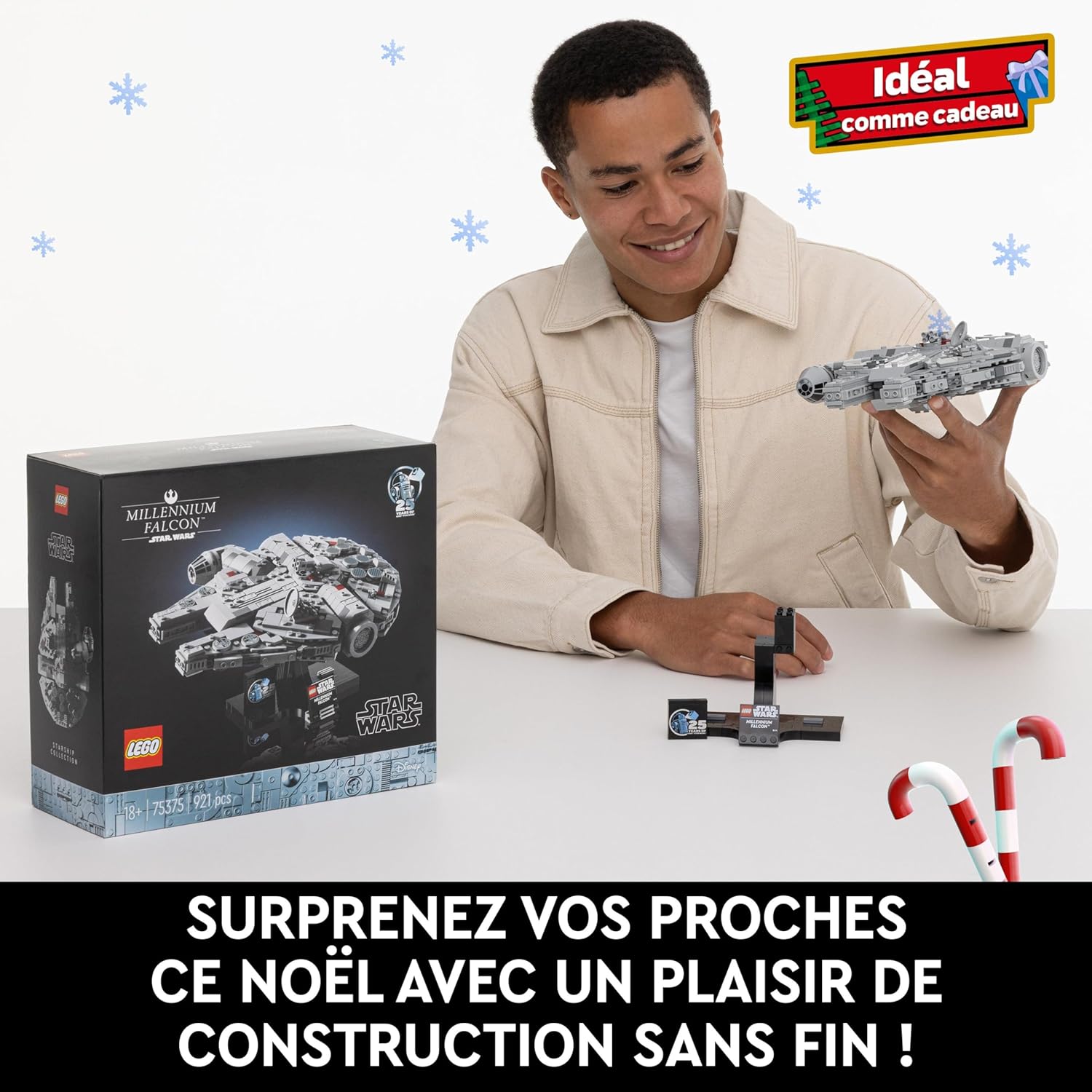 LEGO Star Wars Millennium Falcon 75375 avec présentoir – Image 7