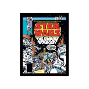 Poster encadré Star Wars Rebel Spy 30x40 cm